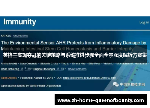 英格兰实现夺冠的关键策略与系统推进步骤全面全景深度解析方案集