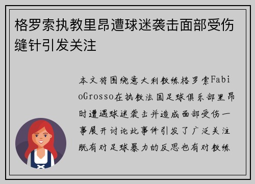 格罗索执教里昂遭球迷袭击面部受伤缝针引发关注